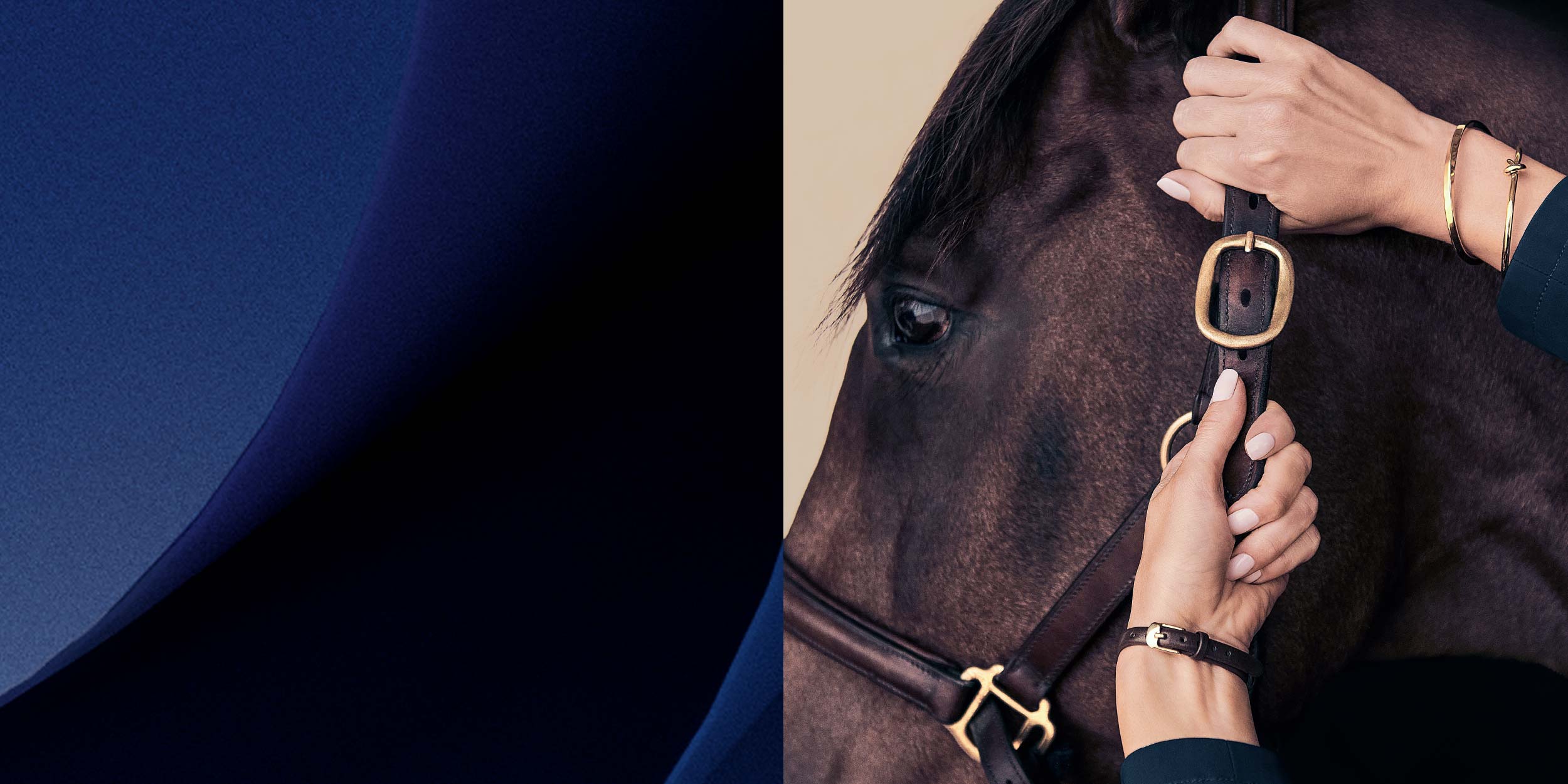  Investment Advisory Services