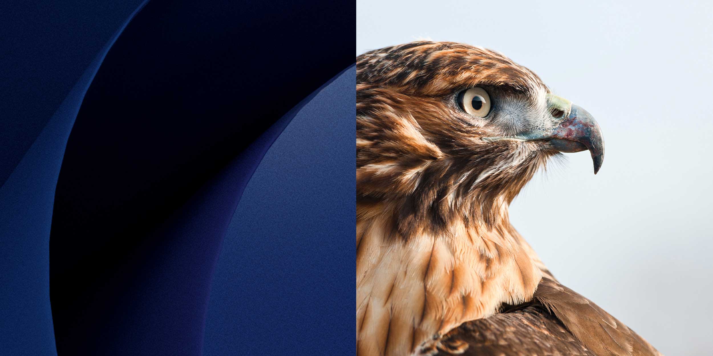 BannerWithHighLights