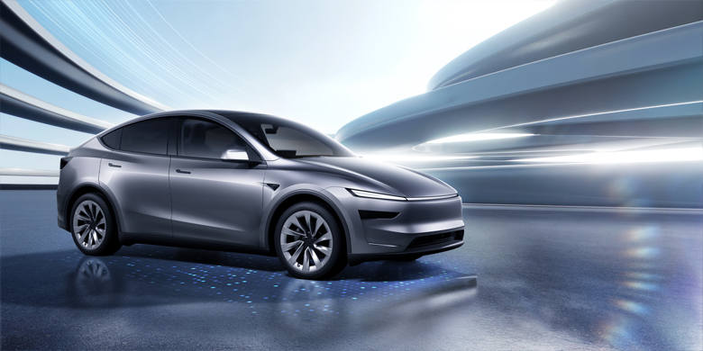 Telsa Banner